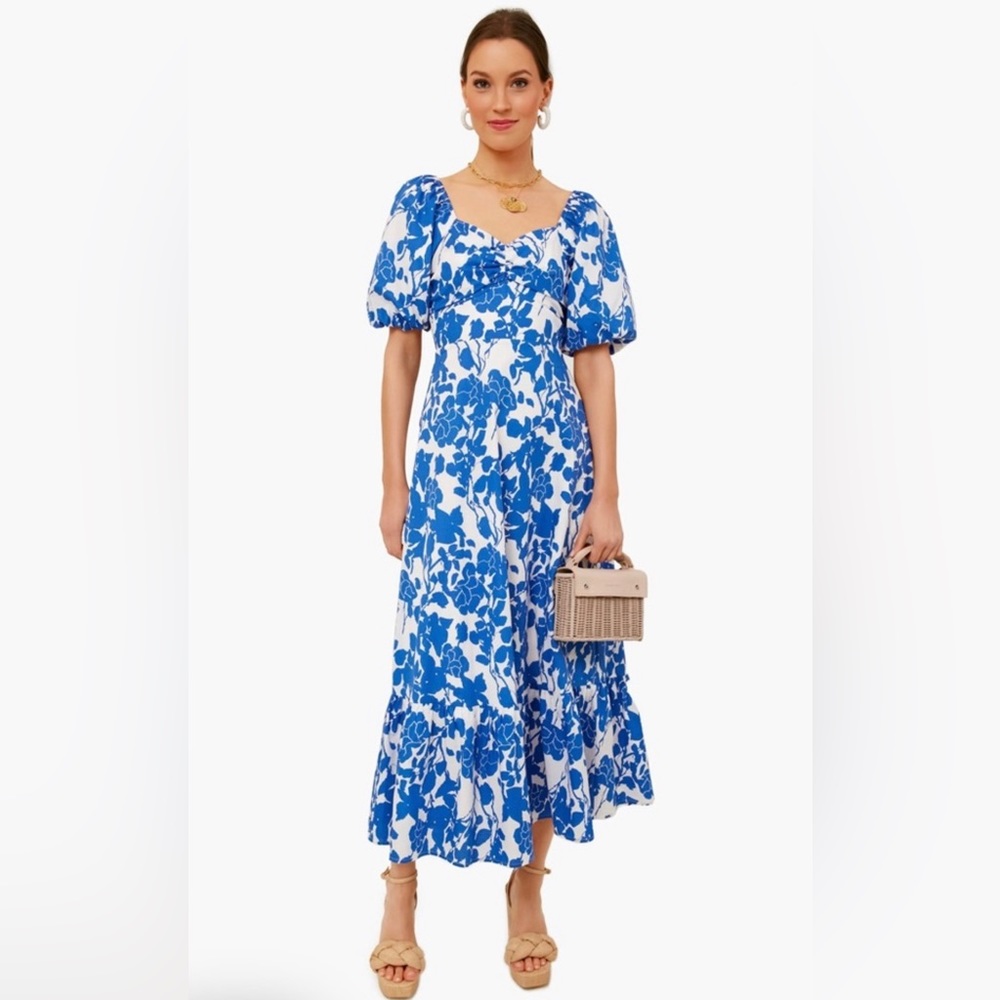 Hyacinth House Blue Floral Seaport Midi Dress. S-NWT